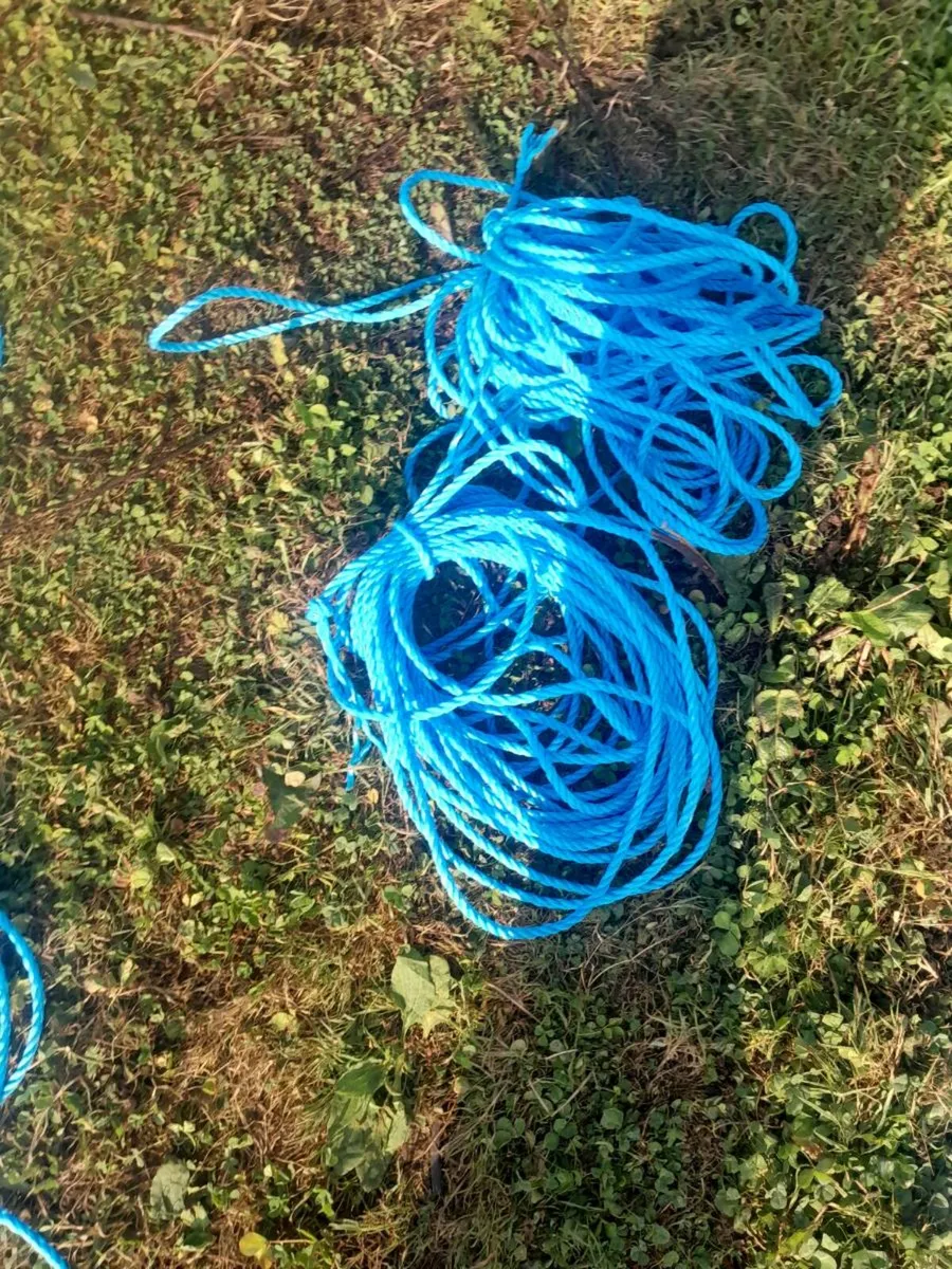 Bundles of Rob - Image 2