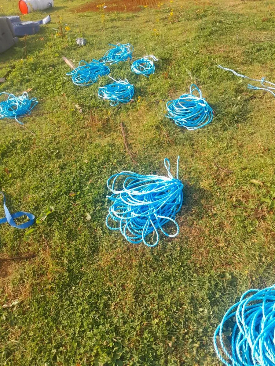 Rules of rope - Image 2