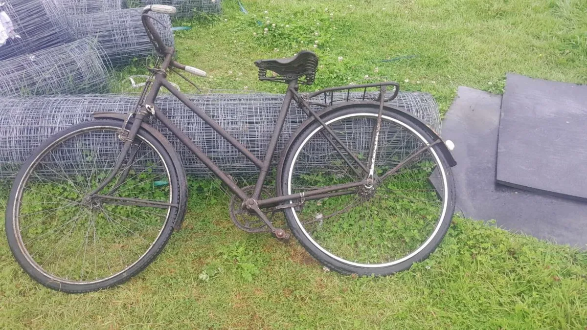 Hi Nelly bike