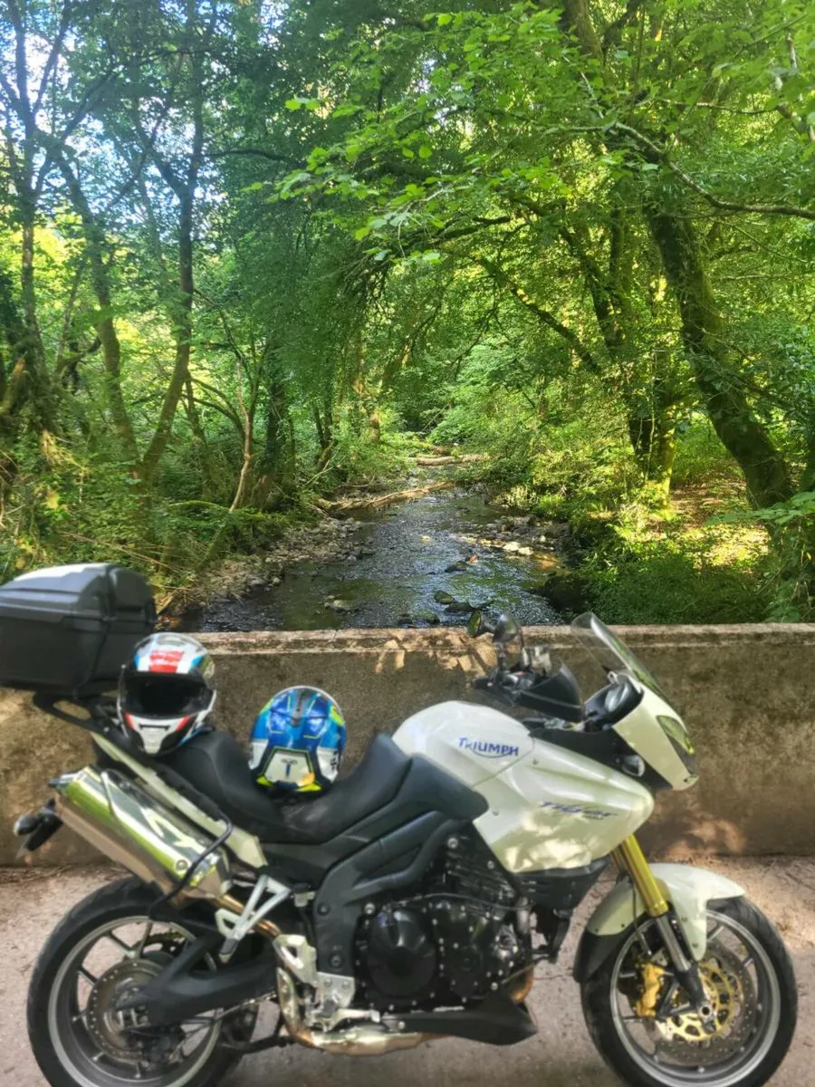 Triumph tiger 1050 - Image 4