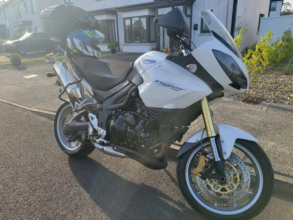 Triumph tiger 1050 - Image 1