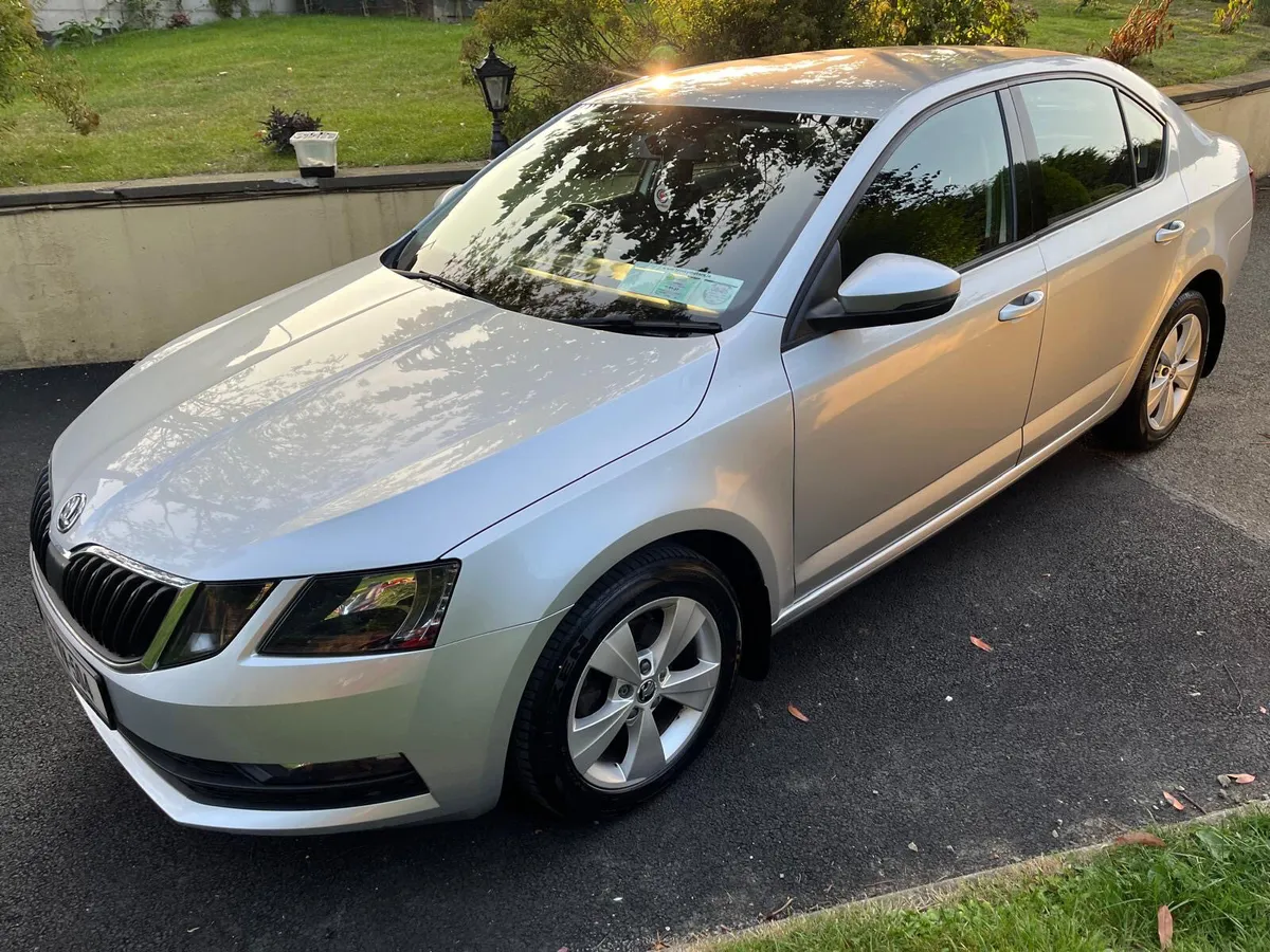 2019 Skoda Octavia 1.6 diesel - Image 3