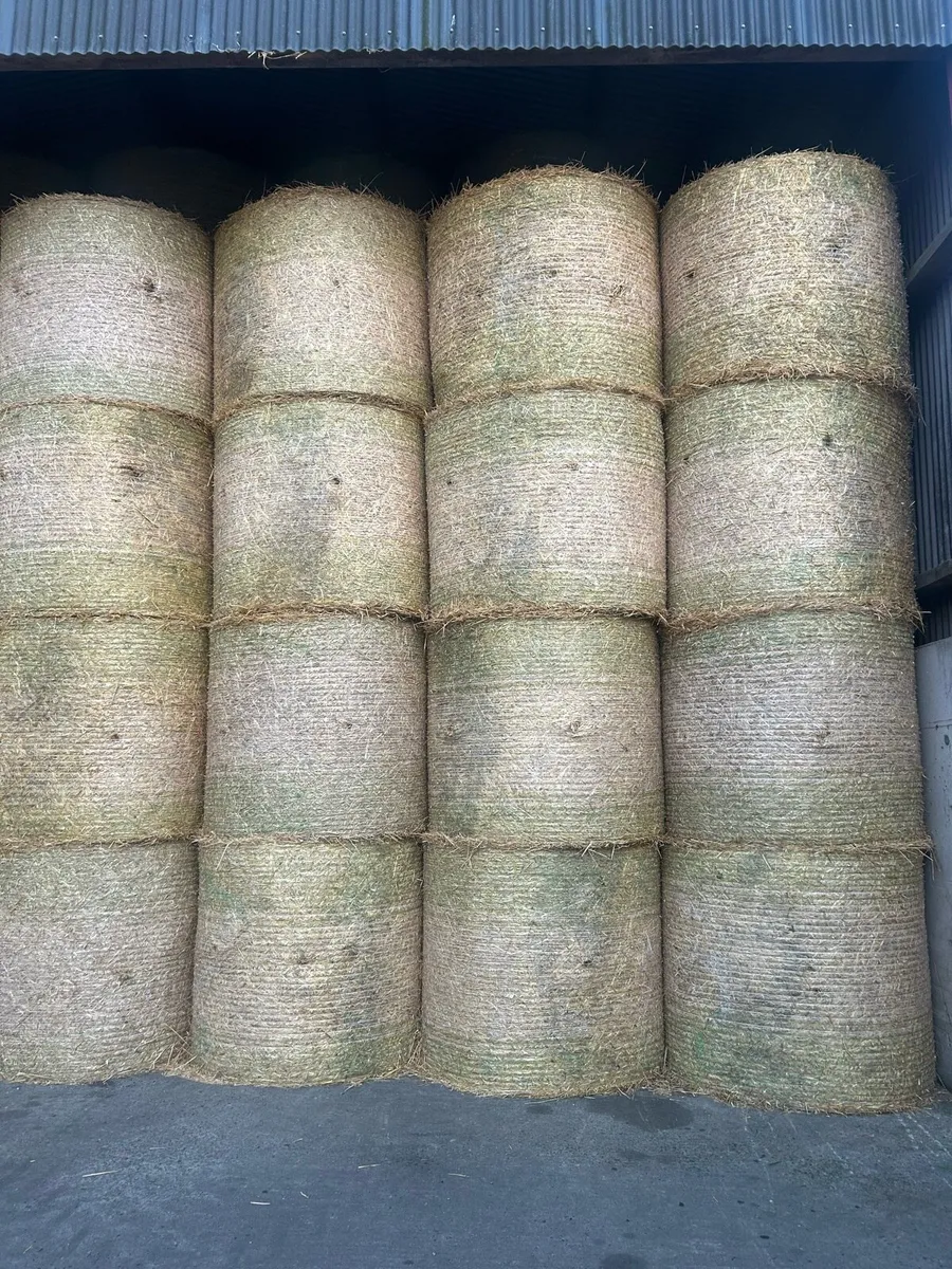 Bales of straw - Image 1