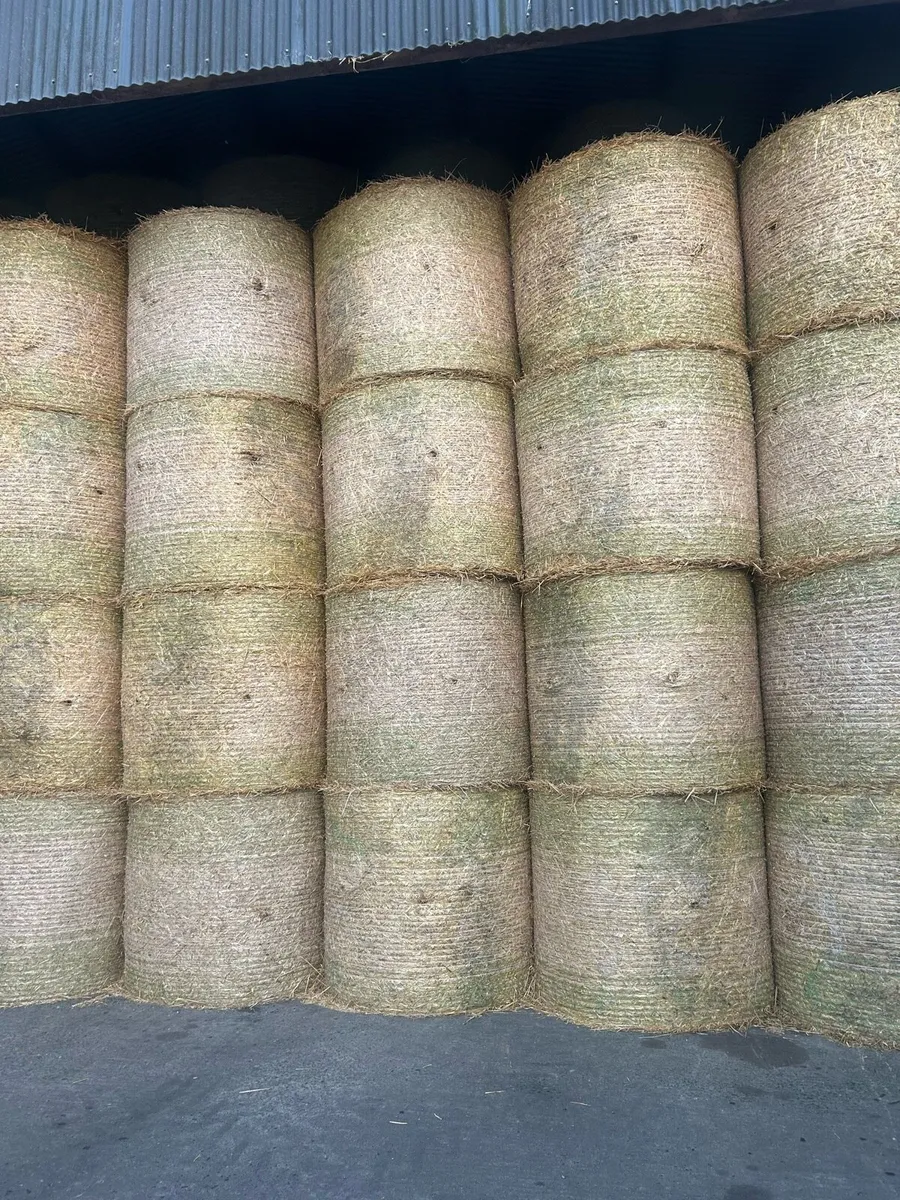 Bales of straw - Image 2