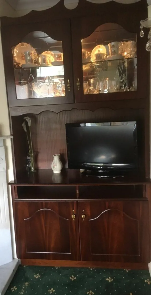 Sitting / Living Room Unit - Mahogany Unit - Image 3