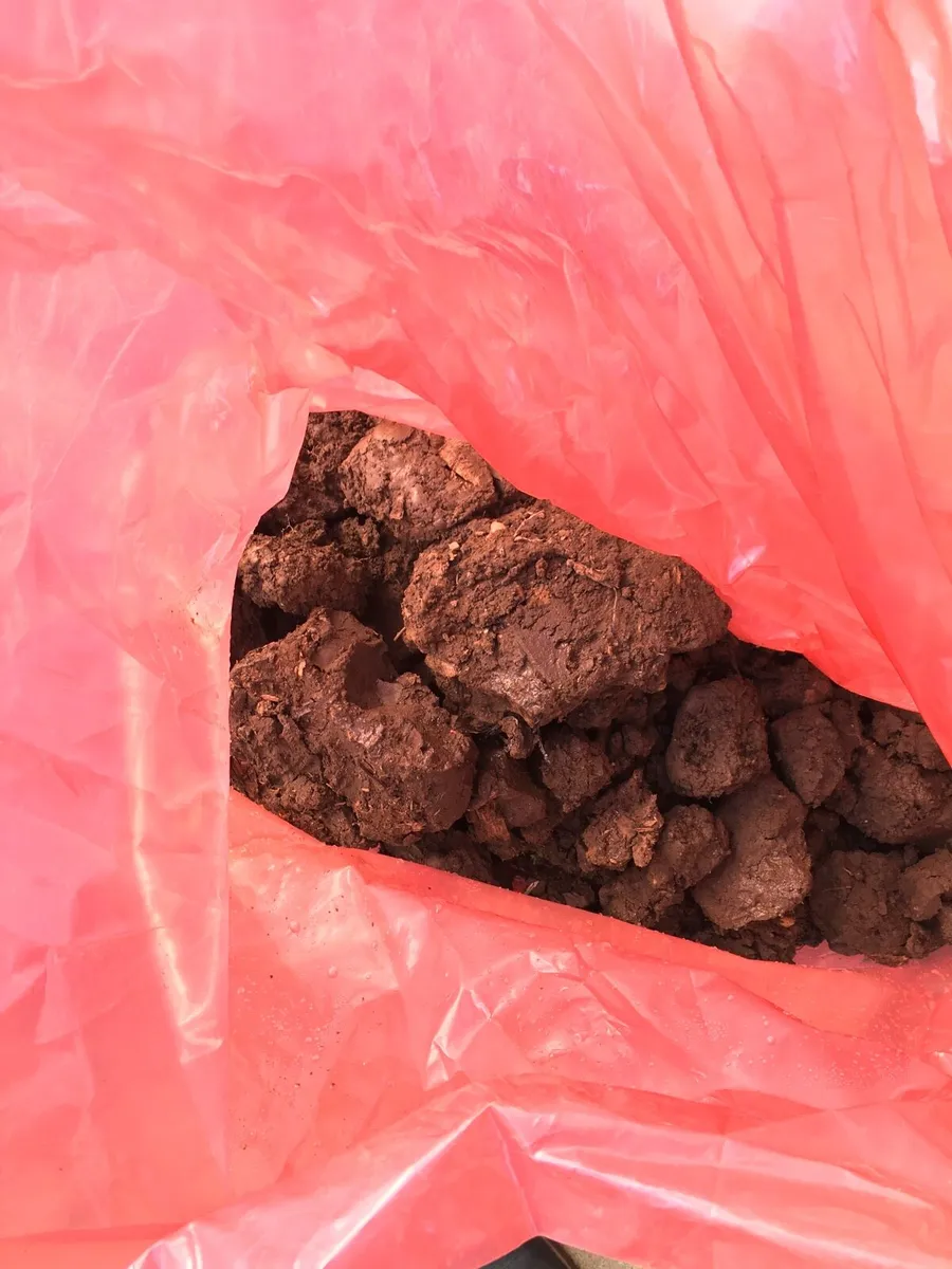 Topsoil - Image 2