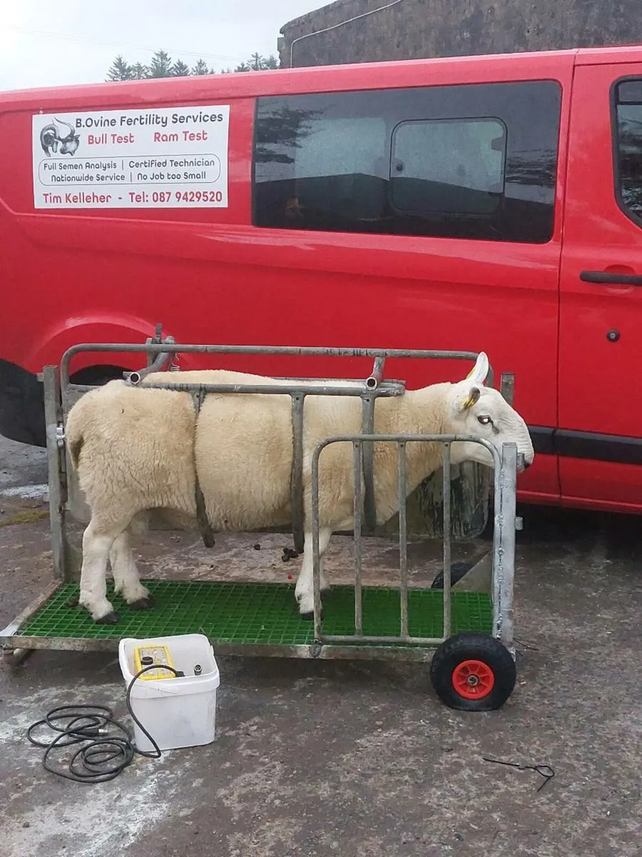 Ram  Testing  event - Image 3
