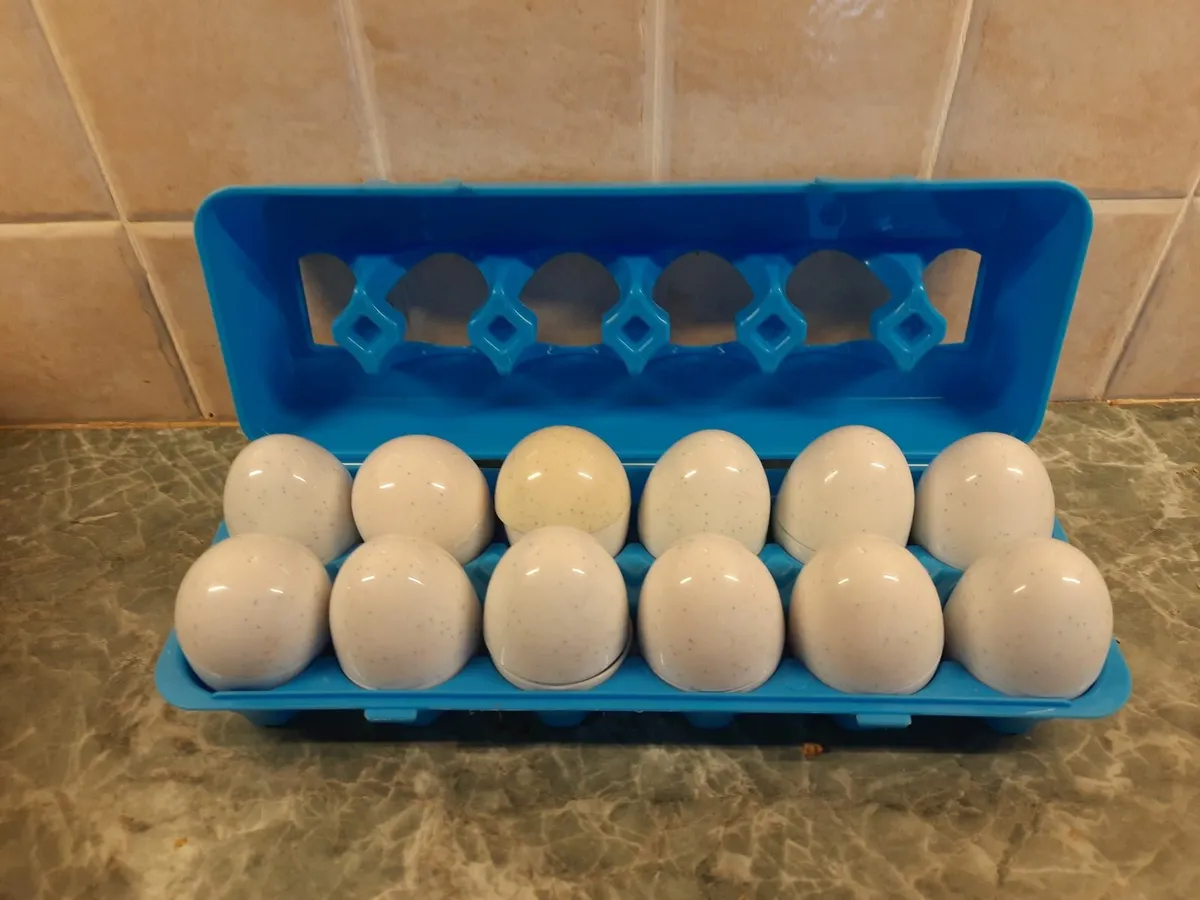 Toy Bundle: Train Set and Dinosaur Eggs Set - Image 3