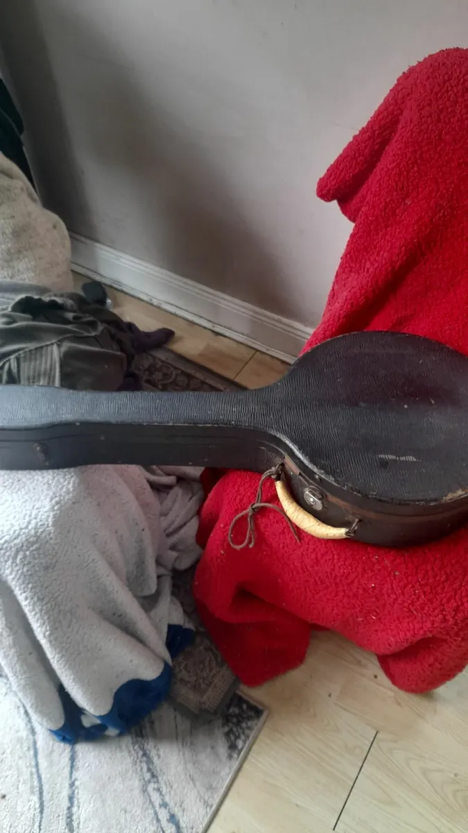 Banjo tenor.  Bacon and day - Image 1