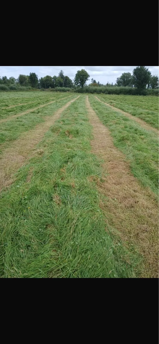 Silage - Image 1