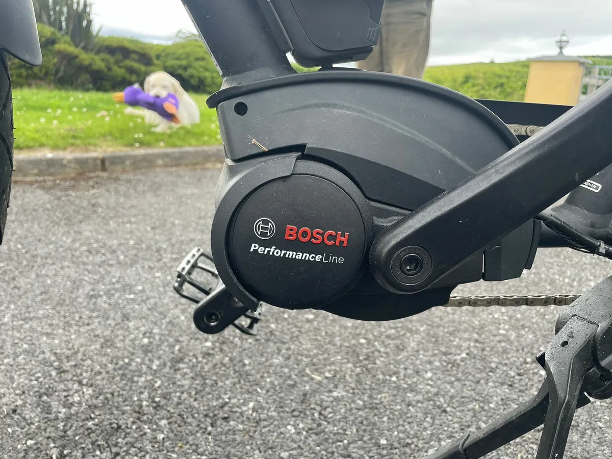Bike - Image 2