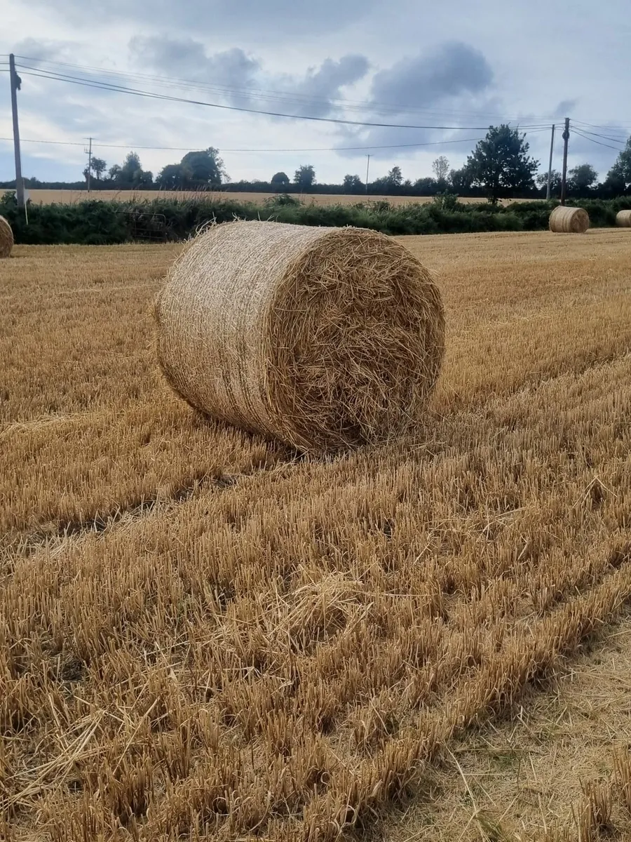 Straw - Image 1