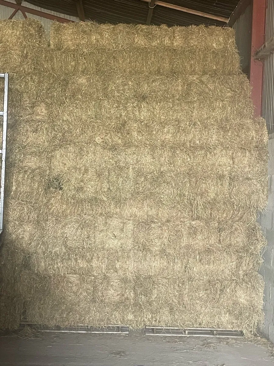 Hay  for sale - Image 1