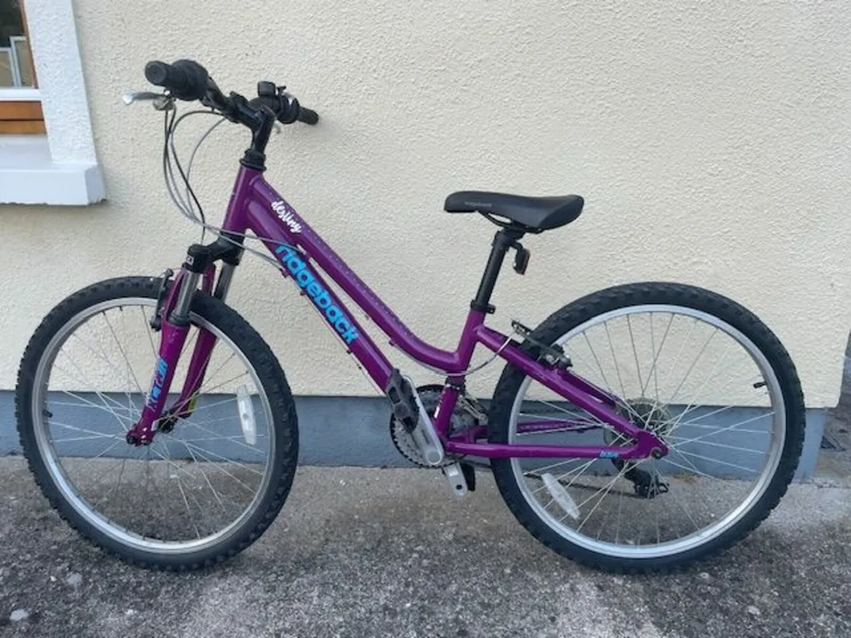 Ridgeback 24" Bike