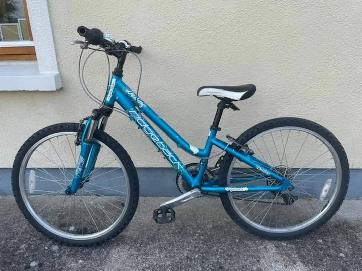 Ridgeback 24" Bike