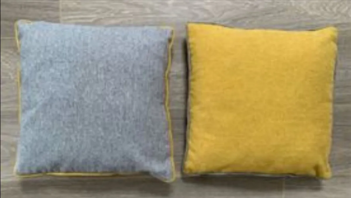 Pair of Small Cushions with Piping - Image 1