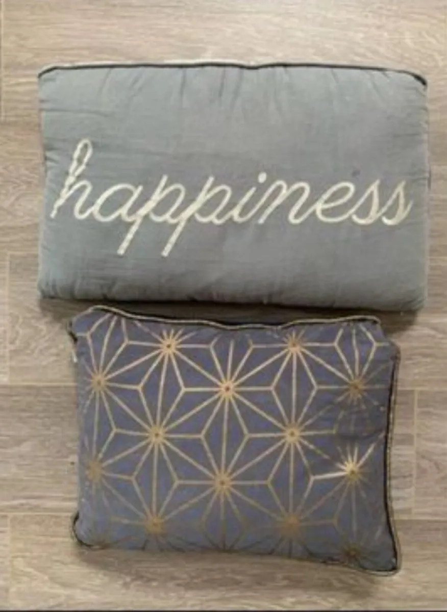 Slogan Cushion & Geometric Print Cushion - Image 1