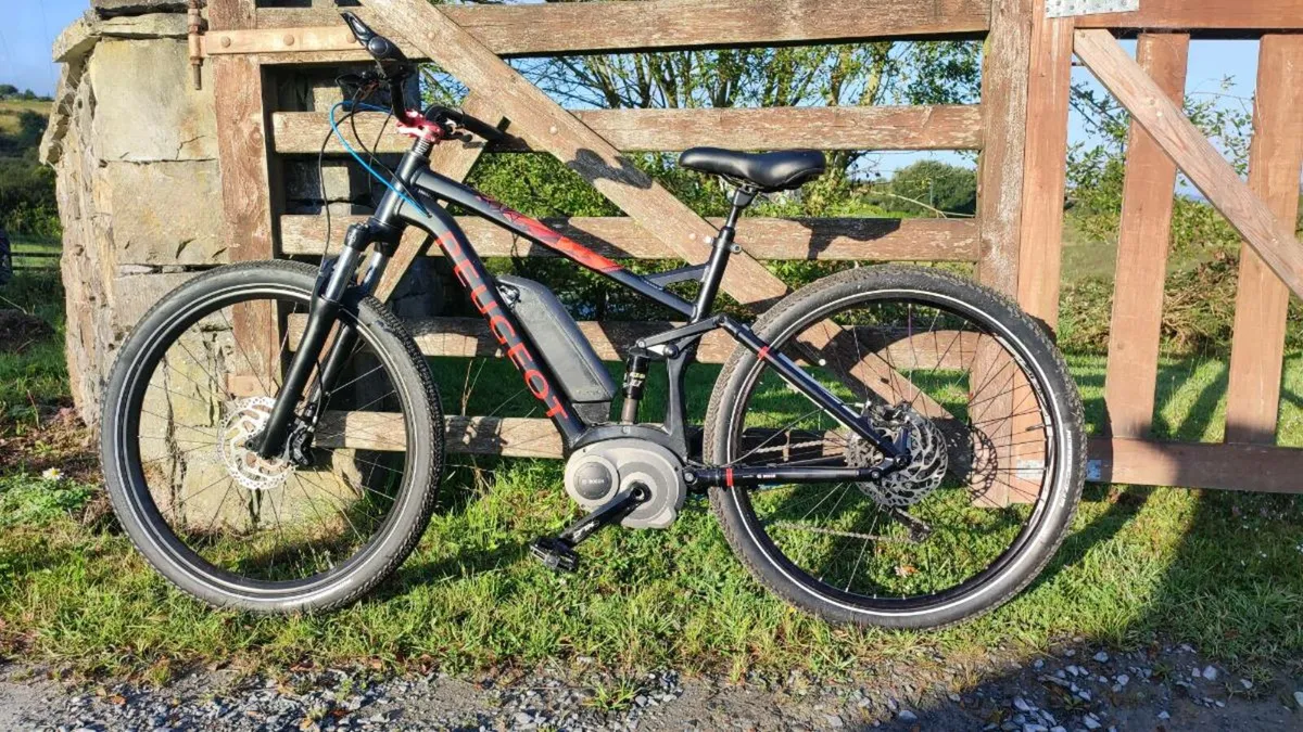 EBIKE BOSCH eM02 RANGE NEW 10, KM ONLY - Image 1