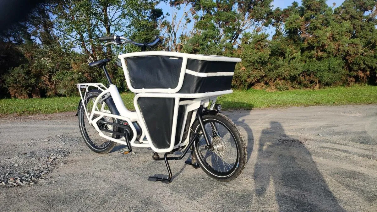 CARGO URBAN ARROW EBIKE - Image 2