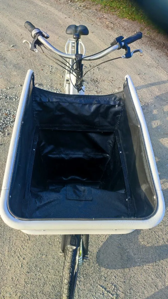 CARGO URBAN ARROW EBIKE - Image 4