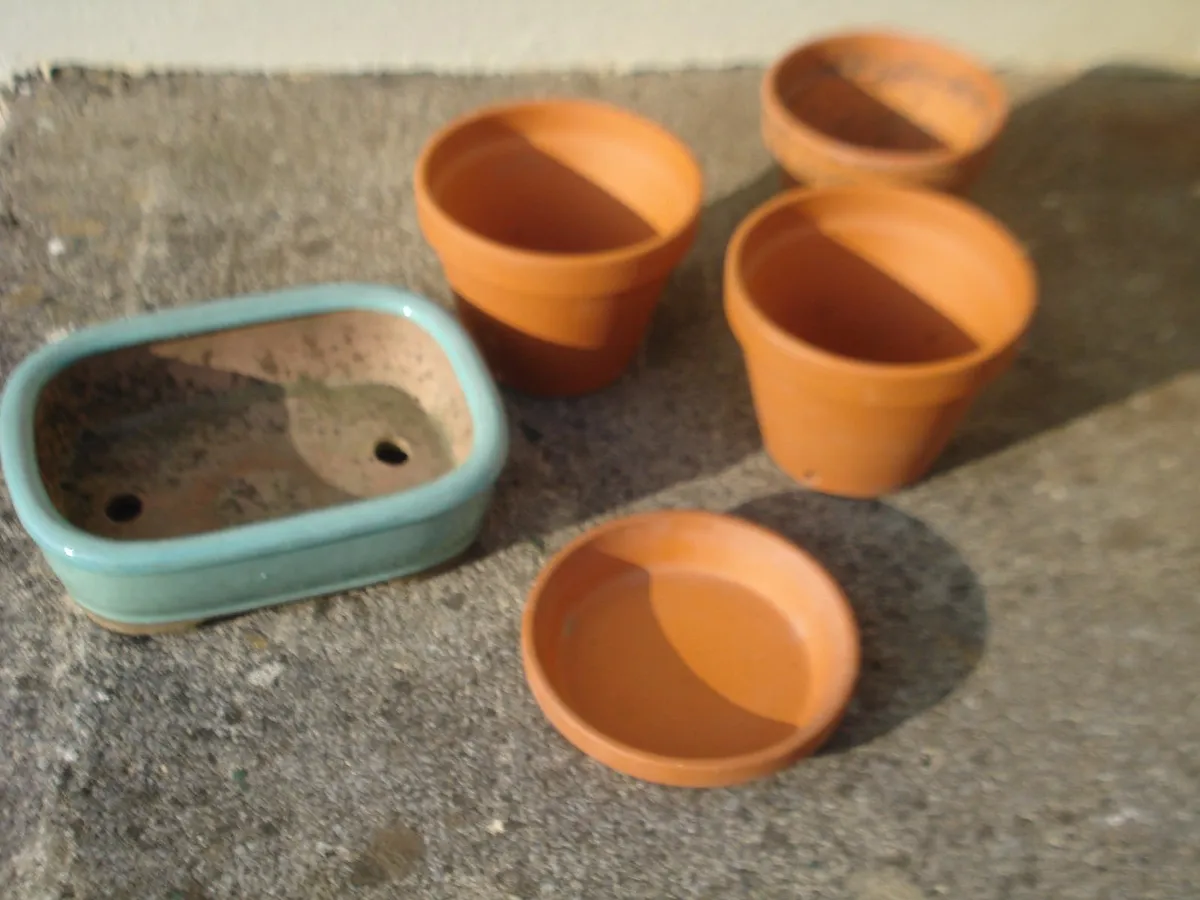 SMALL GARDEN TERRACOTTA POTS, BASE & TROUGH. - Image 2