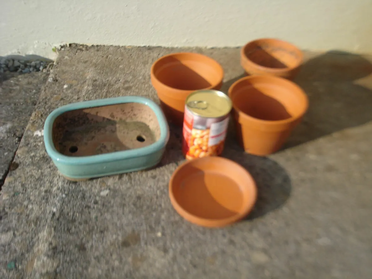 SMALL GARDEN TERRACOTTA POTS, BASE & TROUGH. - Image 3
