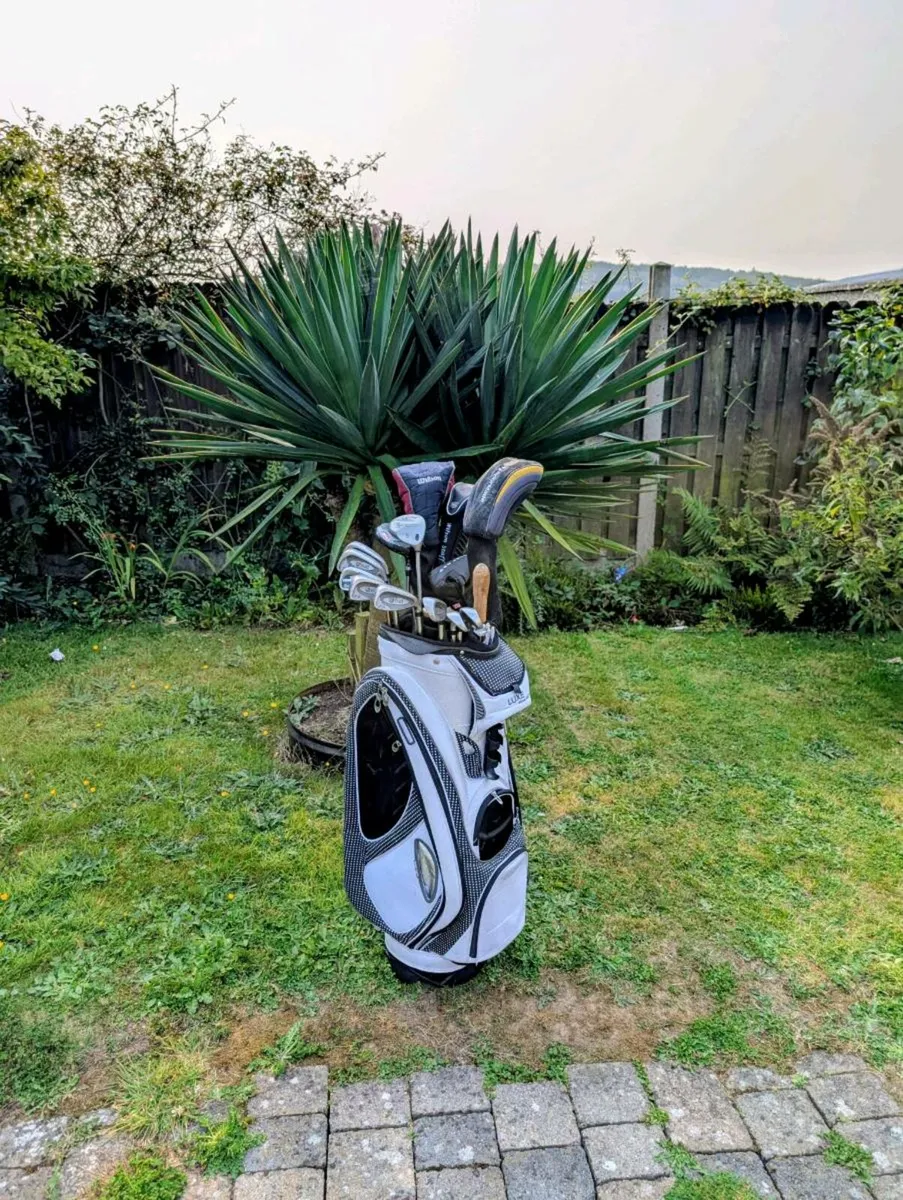 Wilson Golf clubs & rare Wilson staff tour bag - Image 2