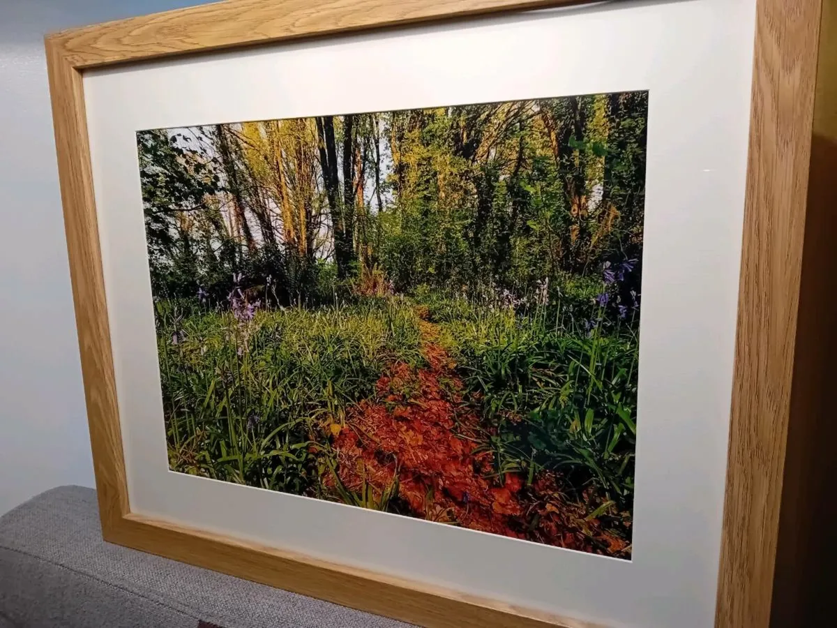 Ballyannon Woods, Midleton - Image 3
