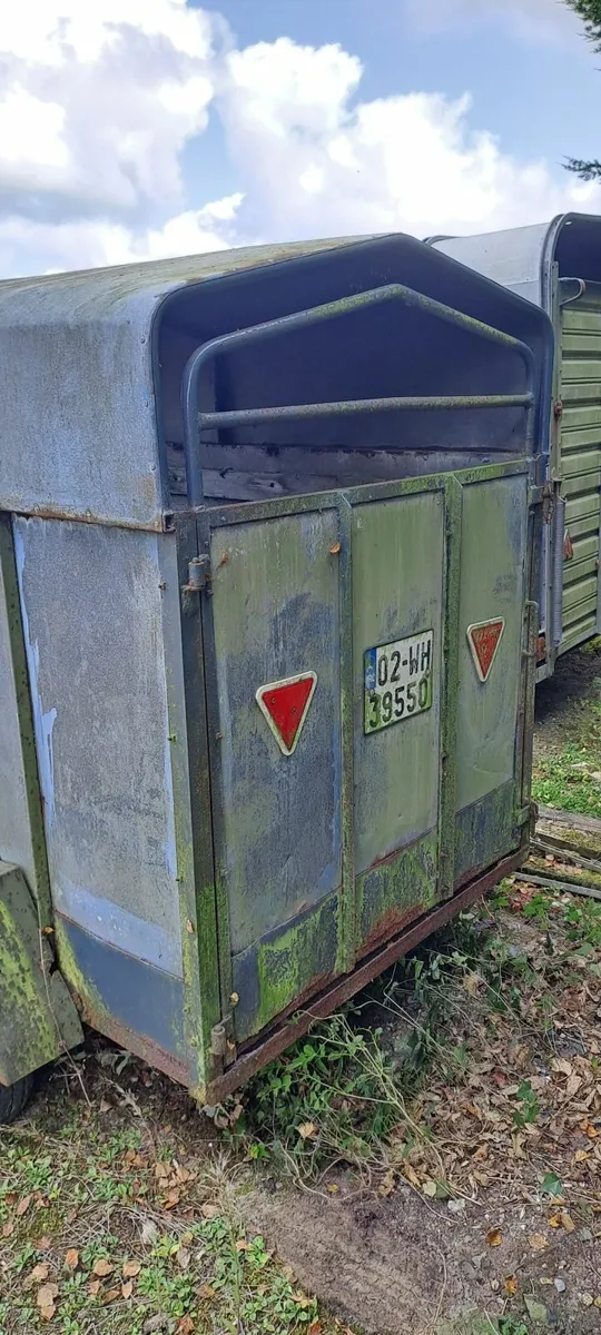 Cow box - Image 3