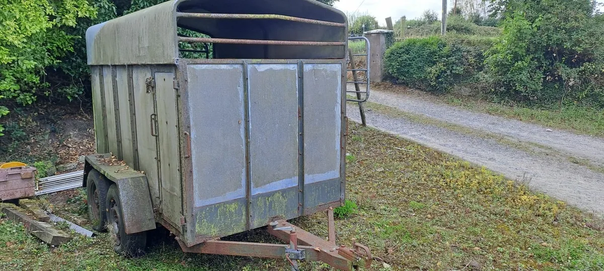Cow box - Image 4