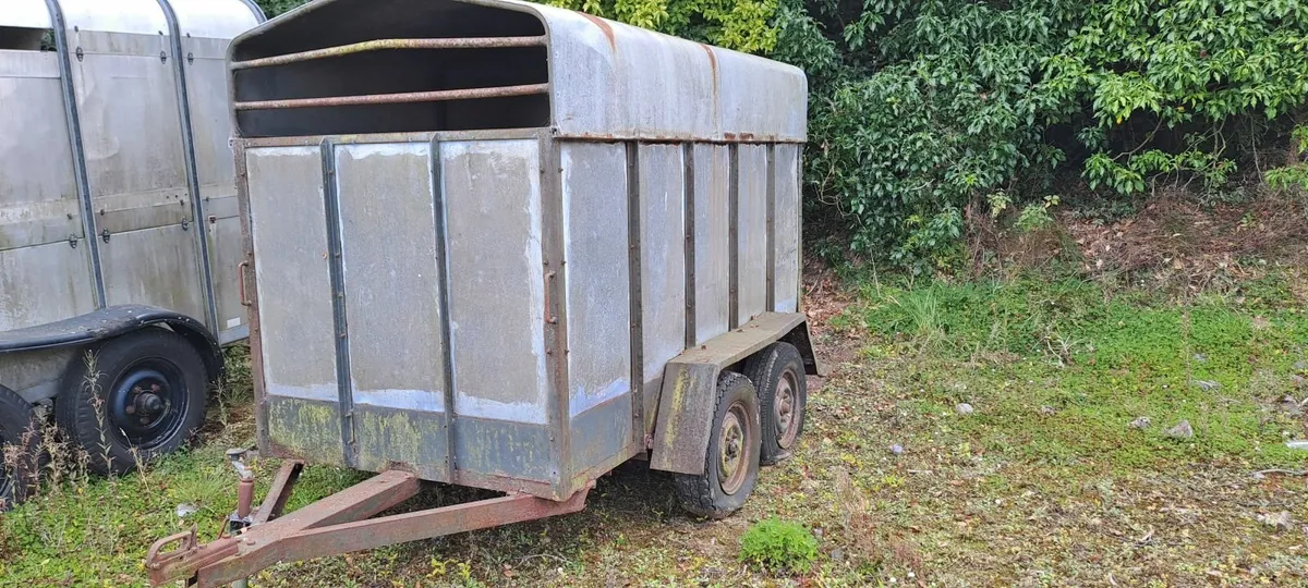 Cow box - Image 2
