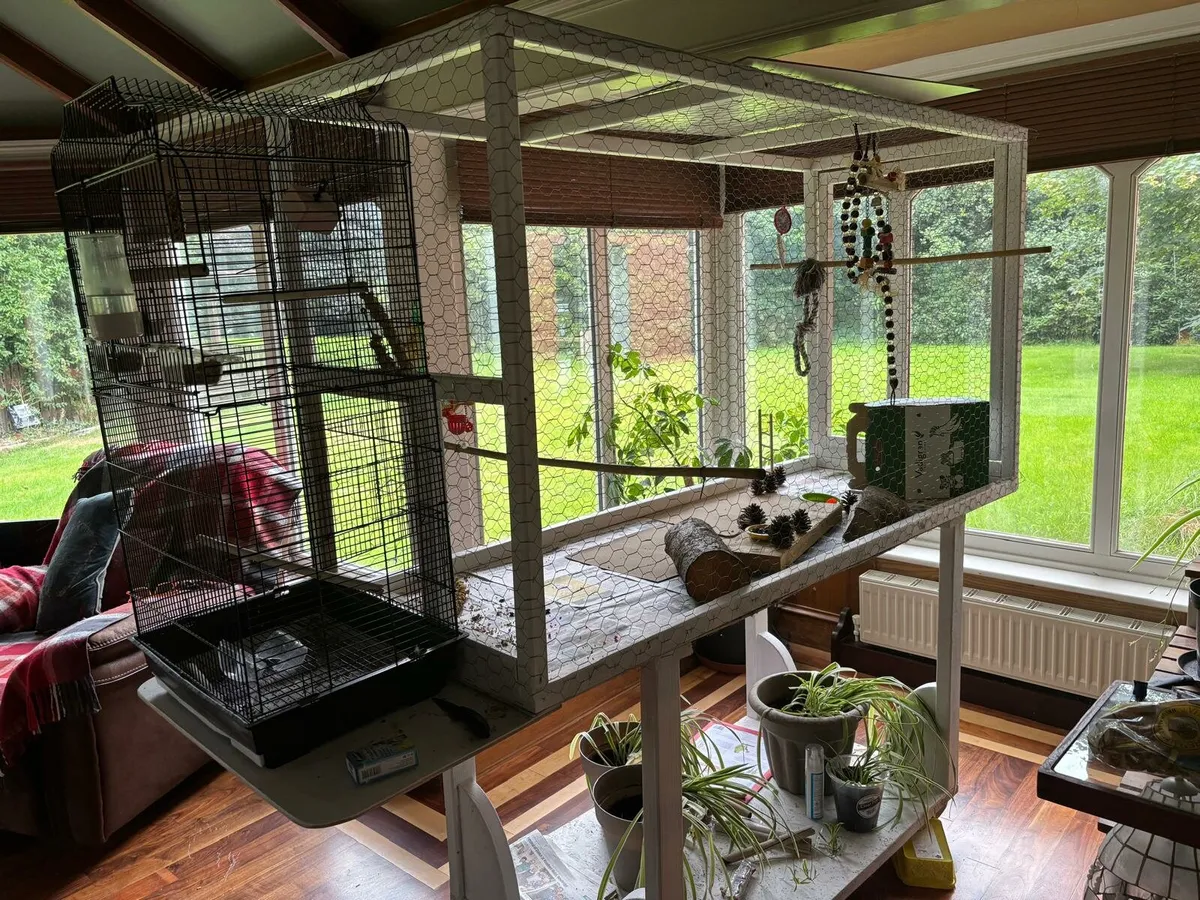 Birdcage - Image 1