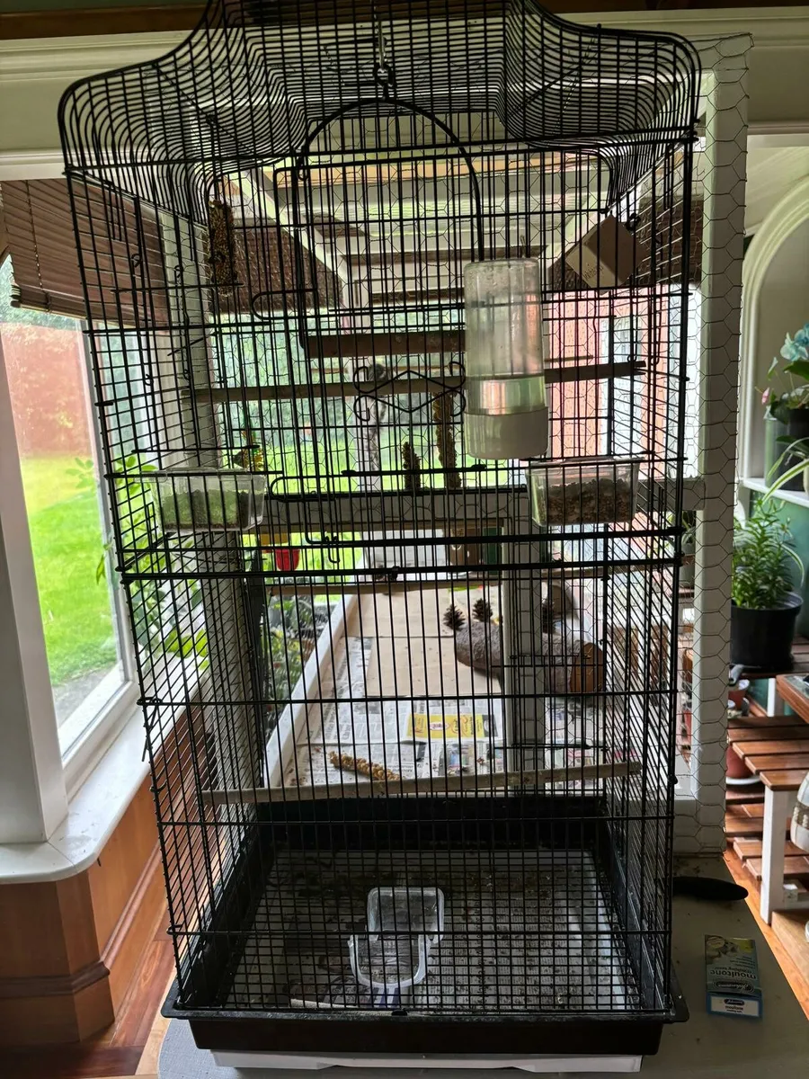 Birdcage - Image 2