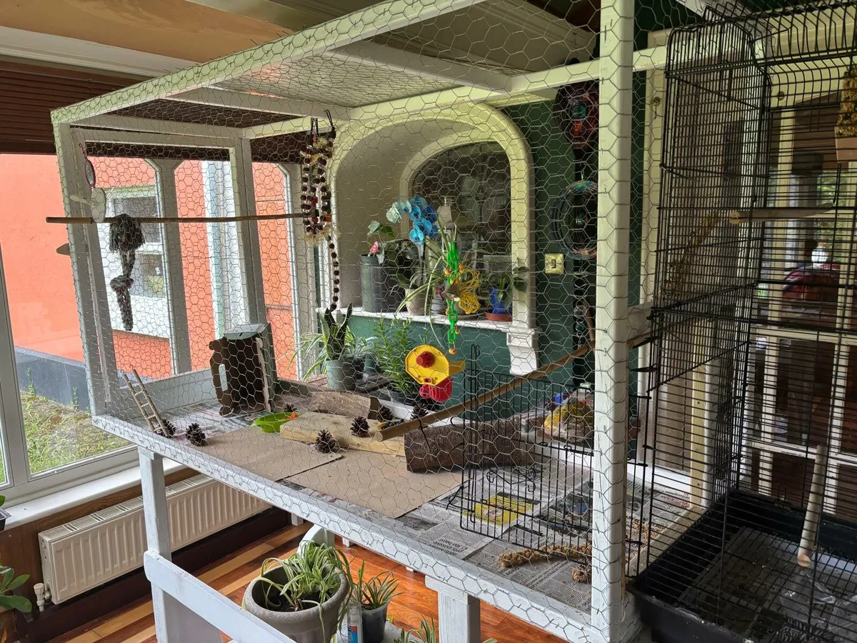 Birdcage - Image 3
