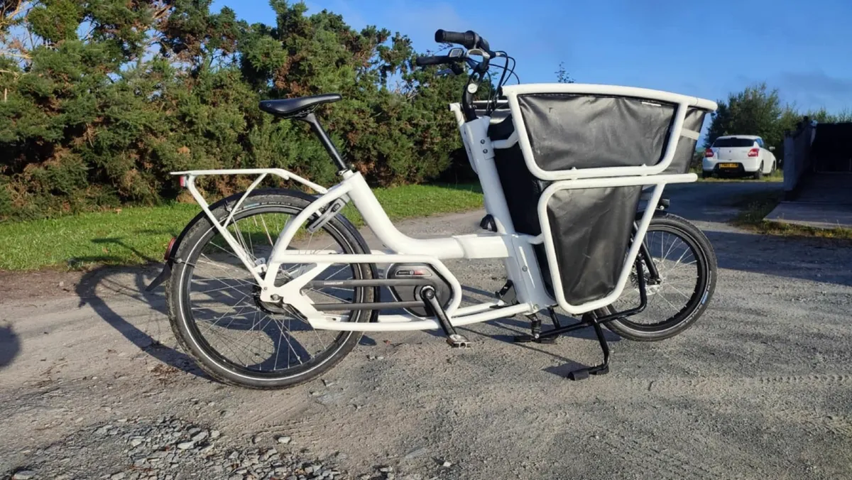CARGO EBIKE BOSCH - Image 1