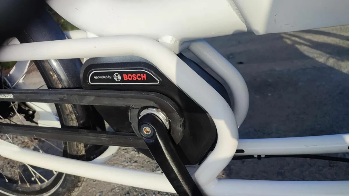 CARGO EBIKE BOSCH - Image 3