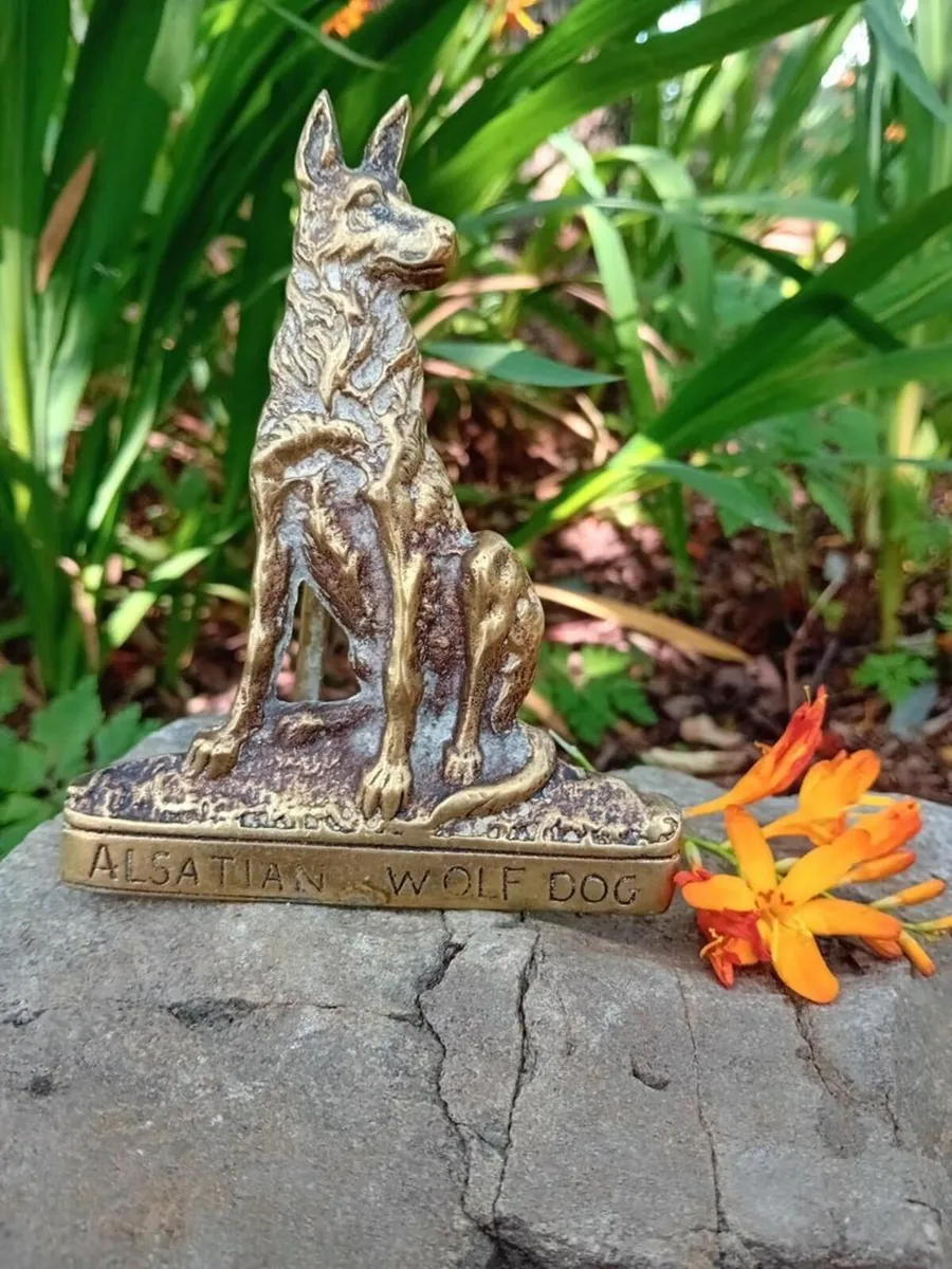 Large Vintage Brass Alsatian/ German Shepherd Wolf - Image 1