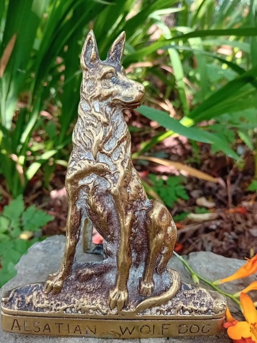 Large Vintage Brass Alsatian/ German Shepherd Wolf - Image 3