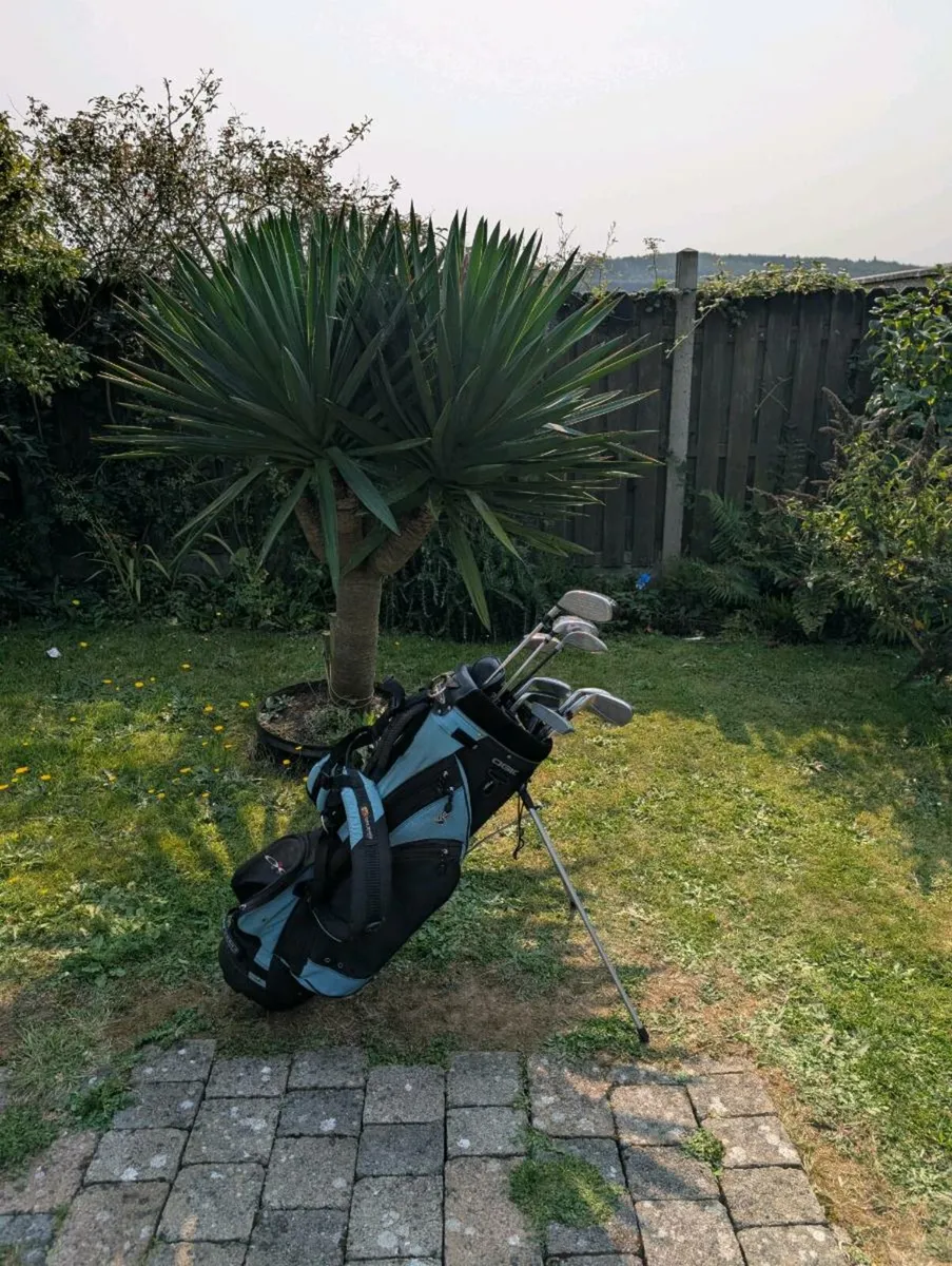 Cheap adult Golf clubs - Image 1