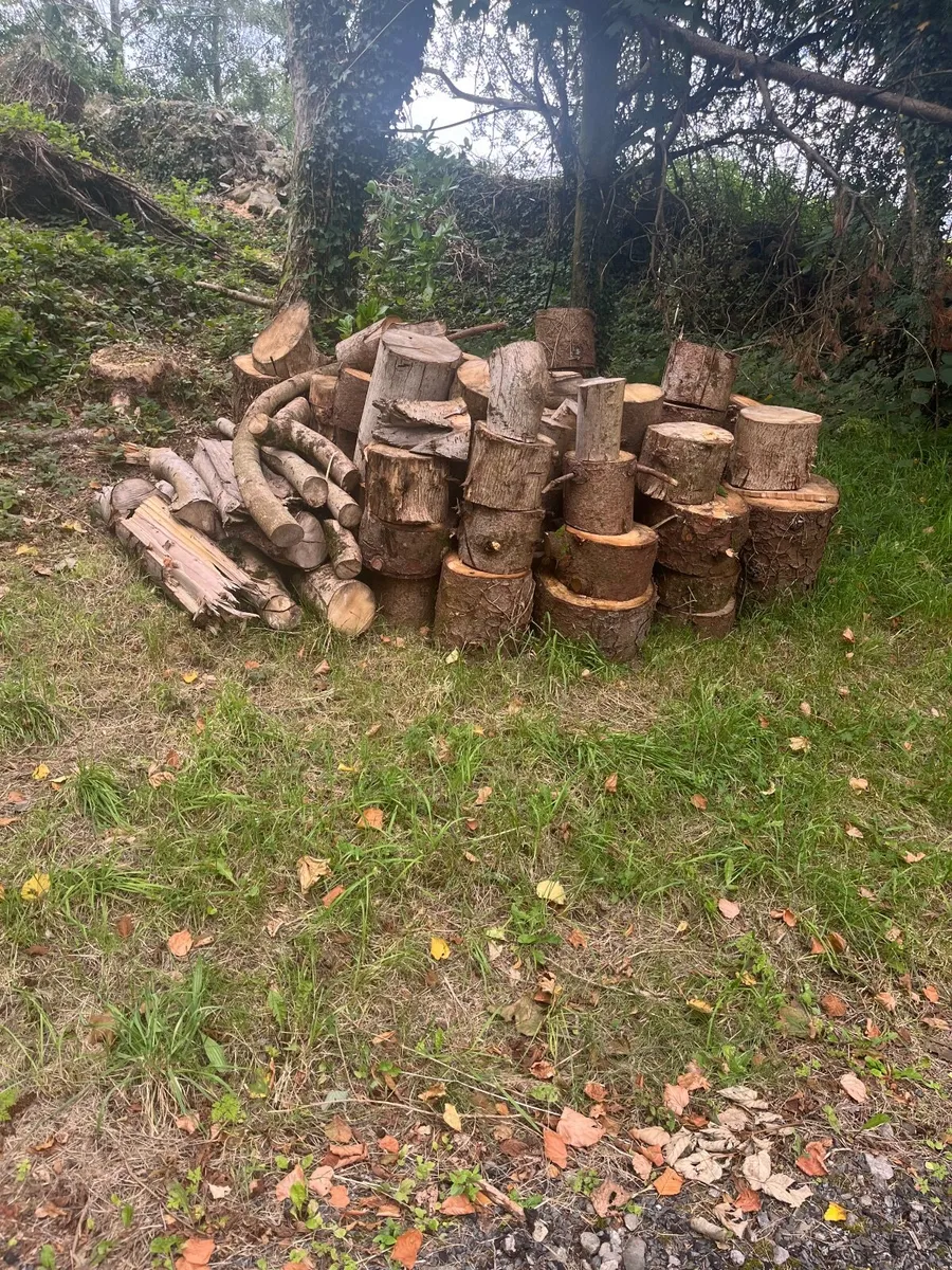 Firewood