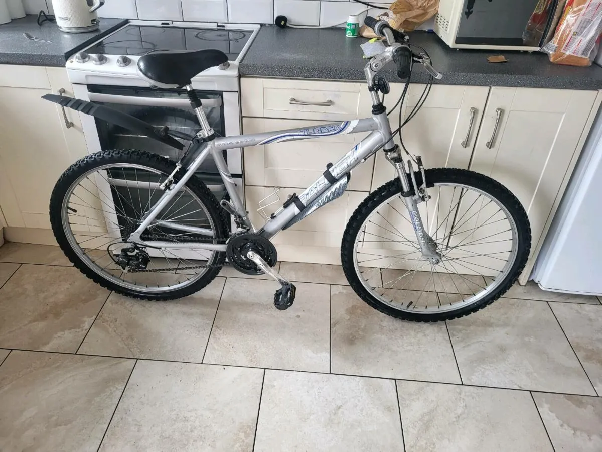 Bike - Image 1