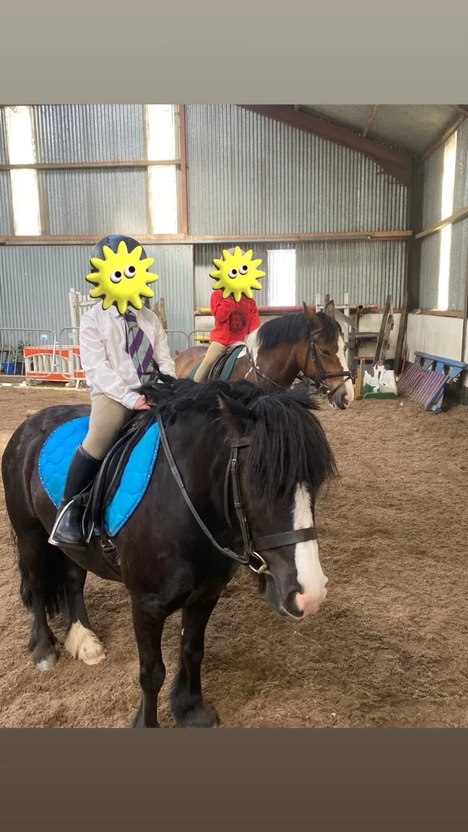 Kids pony - Image 2