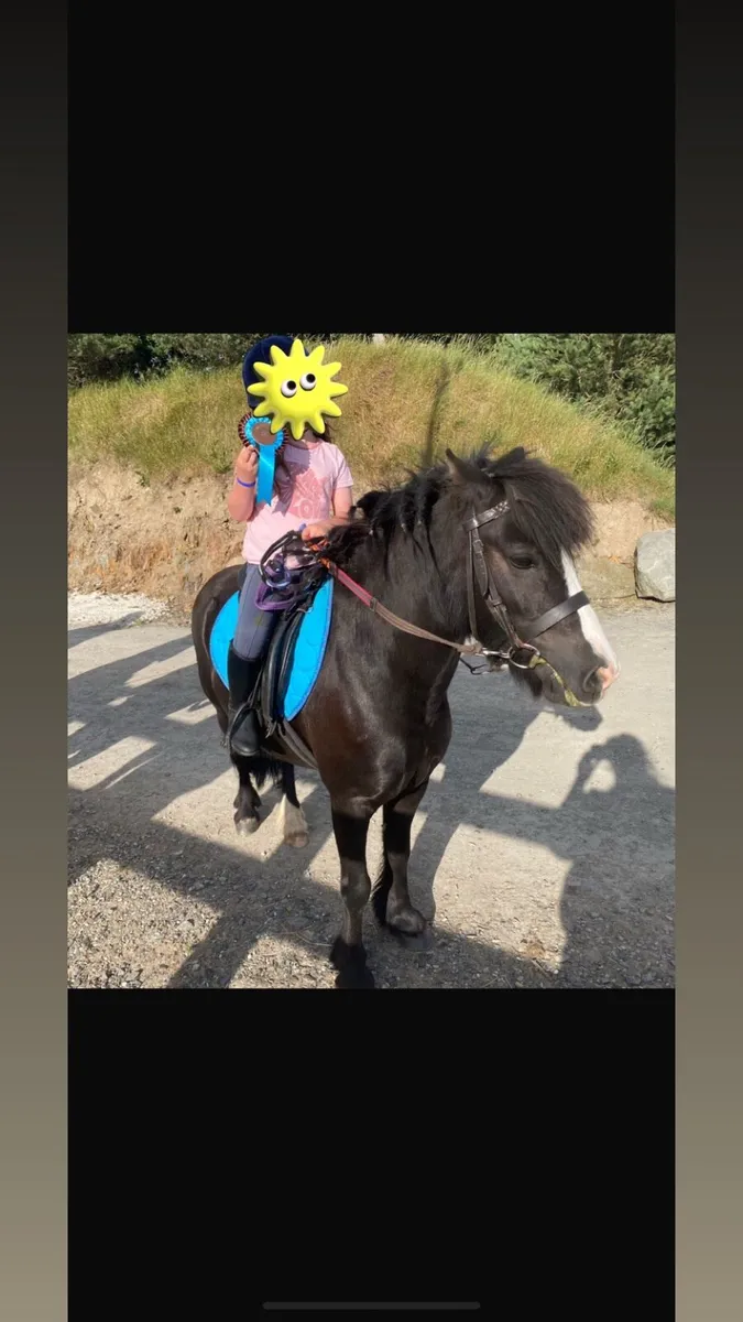 Kids pony - Image 3