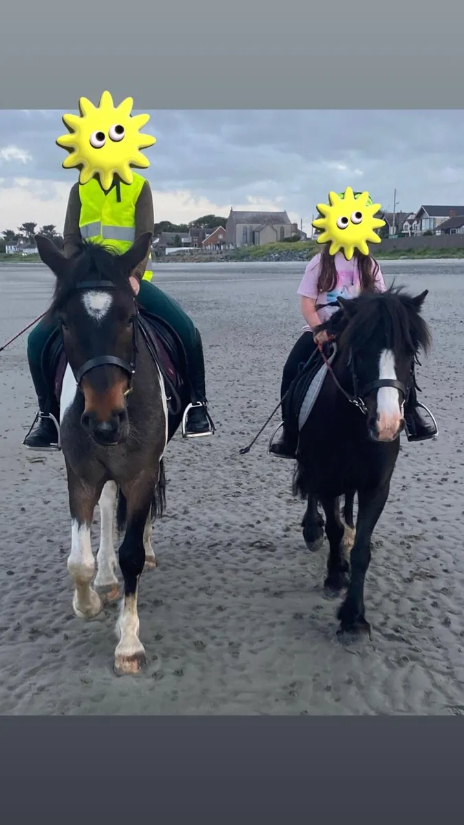 Kids pony - Image 4