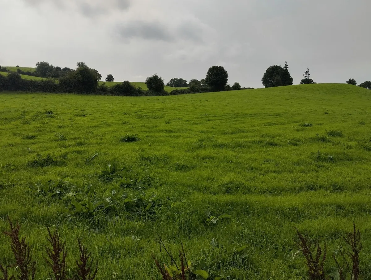 Land to Lease - Image 1