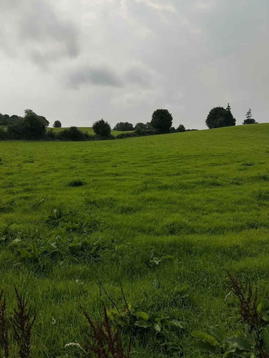 Land to Lease - Image 2
