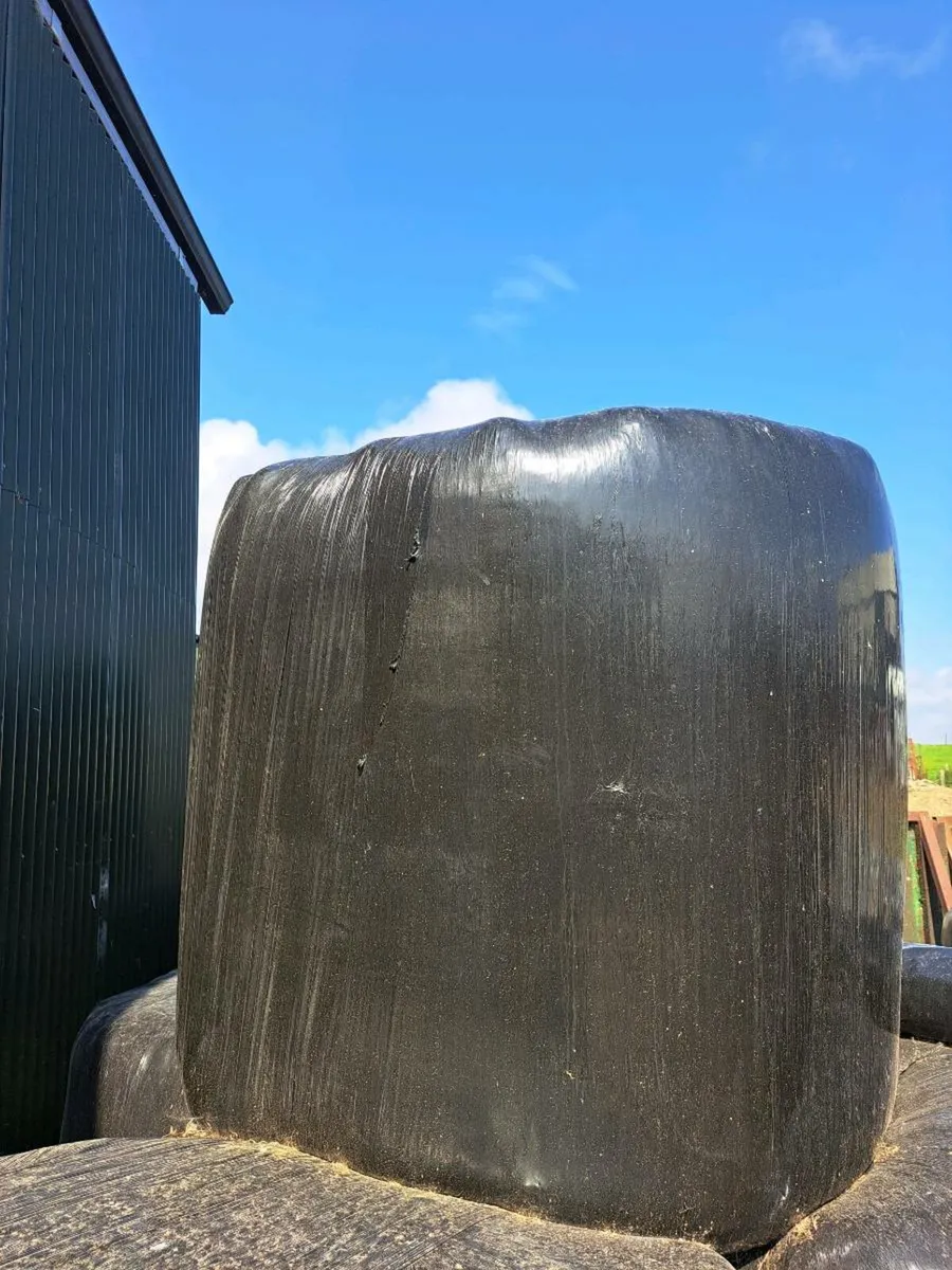 Silage bale's