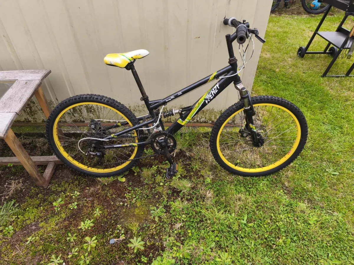Frenzy bike - Image 1