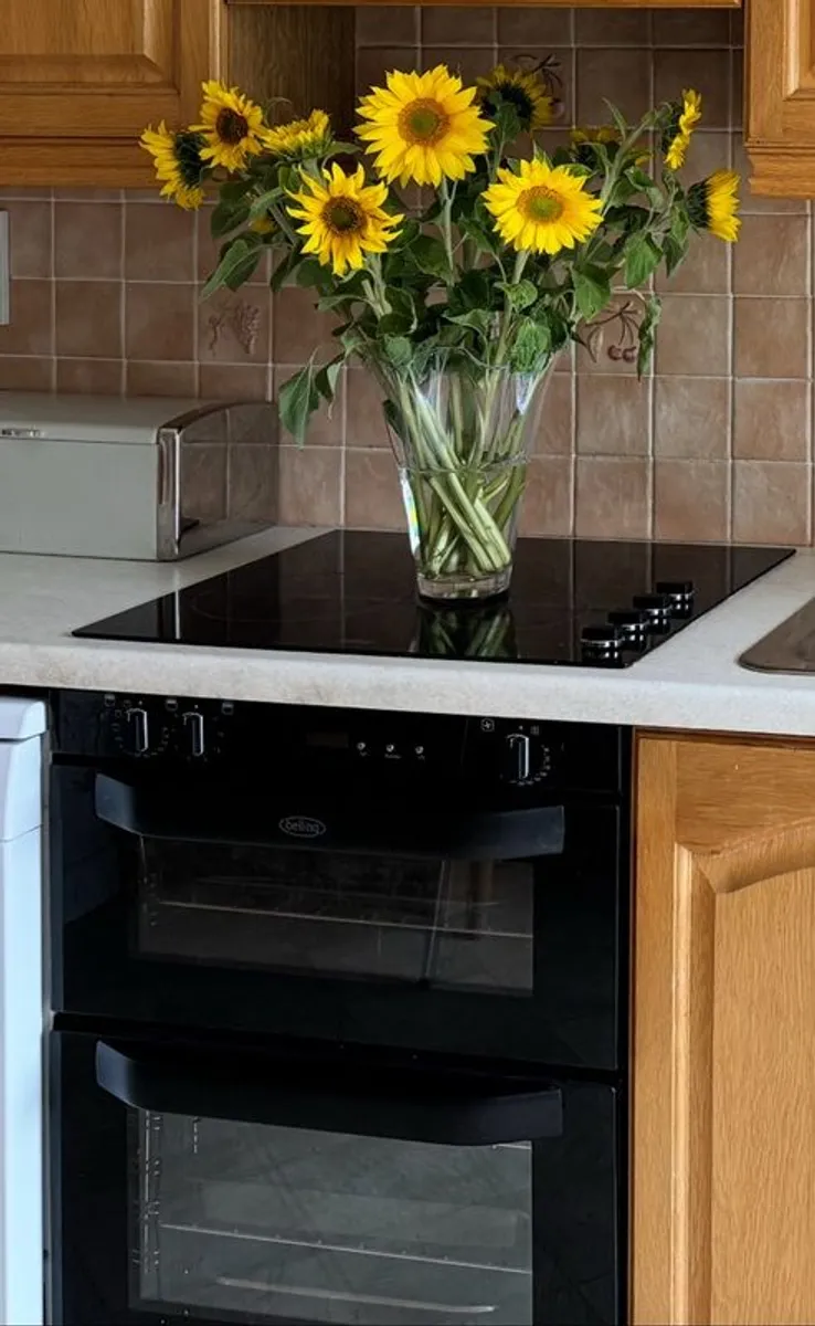 Belling Double Oven - Image 1