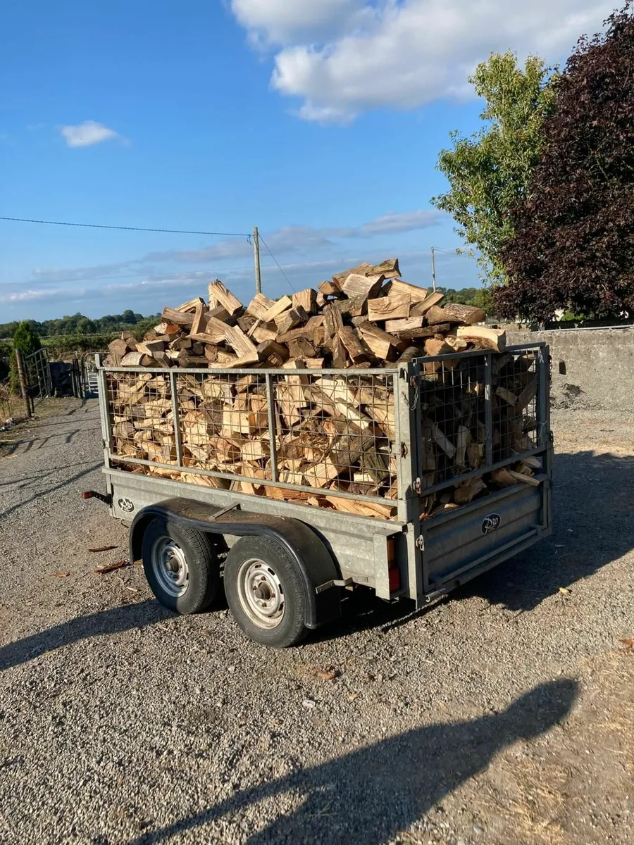 Firewood - Image 1